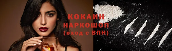 прущие грибы Нефтекумск