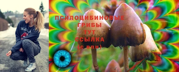 амф Алексеевка