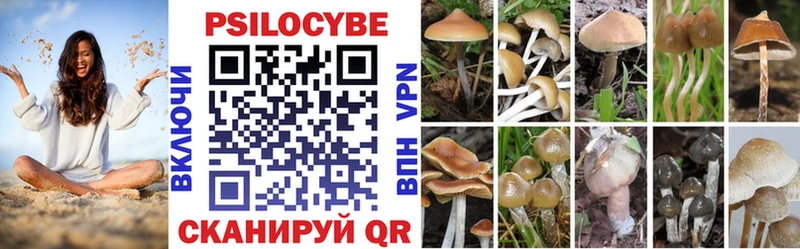 Псилоцибиновые грибы прущие грибы  закладка  Сасово 